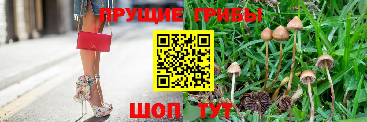 Соль-Илецк  Псилоцибиновые грибы мухоморы  Псилоцибиновые грибы ЛСД  Вход с VPN 